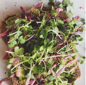 Fresh organic sprouts on toast from Kure